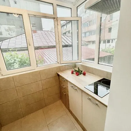 Apartament Modern Sulina Appartement *